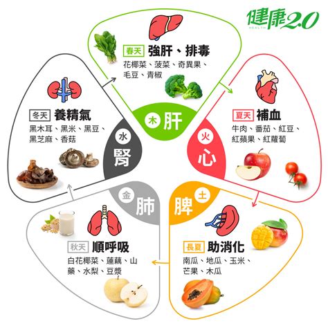 五行食物表